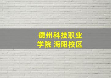 德州科技职业学院 海阳校区